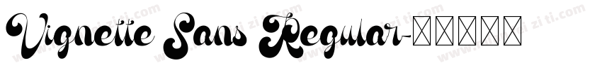 Vignette Sans Regular字体转换